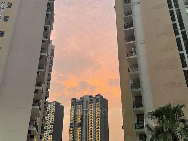 3 BHK Flat In Aster Court Premier for Rent In Sector 85