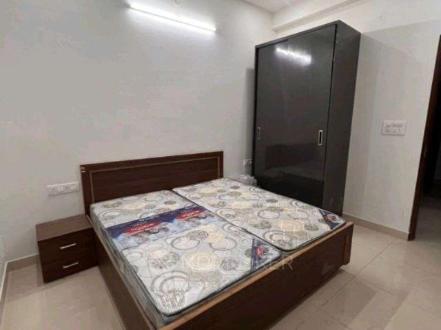 3 BHK Flat In Builder Floor for Rent In Sector 46