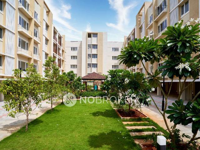 3 BHK Flat In Bhaggyam Griha for Rent In Thoraipakkam