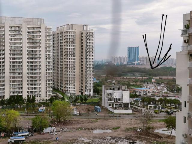3 BHK Flat In Bptp Spacio for Rent In Sector 37 D