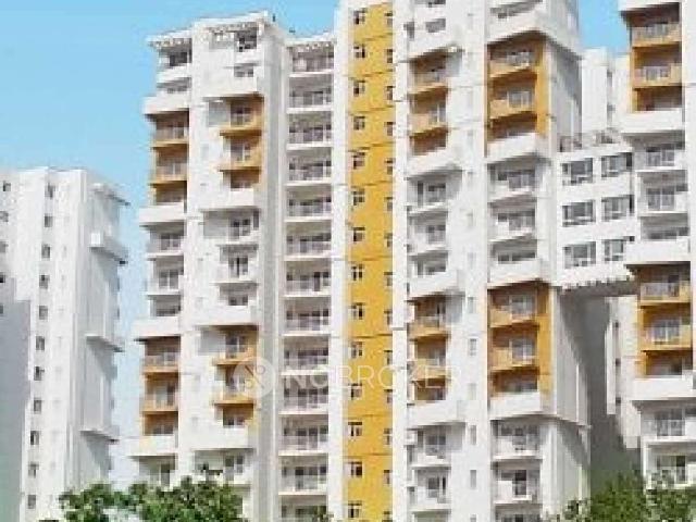 3 BHK Flat In Bptp Princess Park for Rent In Sector 86