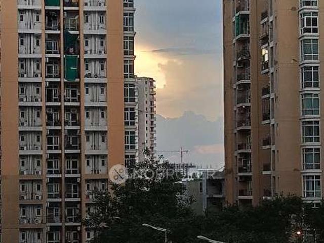 3 BHK Flat In Conscient Habitat Residences for Rent In Sec