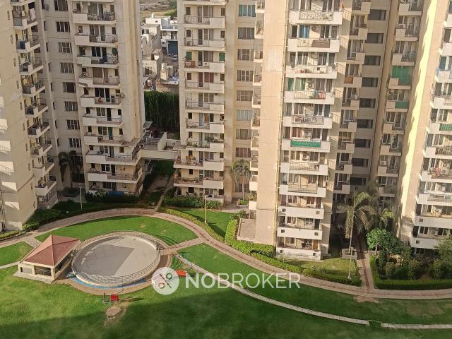 3 BHK Flat In Corona Optus for Rent In Sector 37c