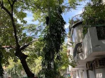 3 BHK Flat In Dda Flat Pocket 5 Mayur Vihar Phase 1 for Rent