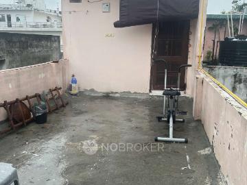 West Delhi, New Delhi, Delhi - Garden