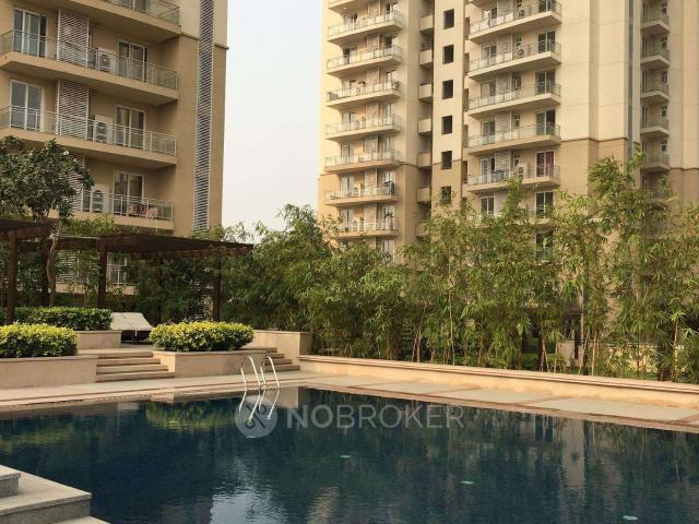 3 BHK Flat In Dlf The Primus for Rent In Sector 82a