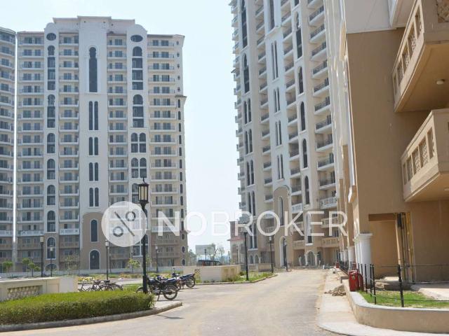 3 BHK Flat In Dlf New Town Heights for Rent In Sector 86