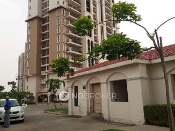 3 BHK Flat In Dlf New Town Heights for Rent In Sector 90