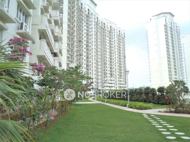 3 BHK Flat In Dlf New Town Hieghts for Rent In Sector 86