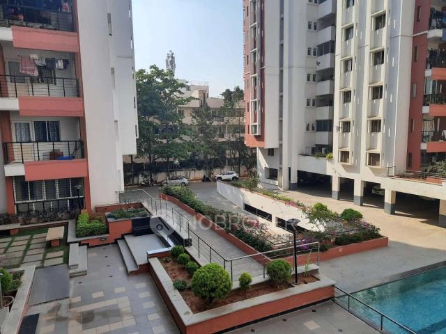 3 BHK Flat In Dsr Spring Beauty for Rent In Brookefield