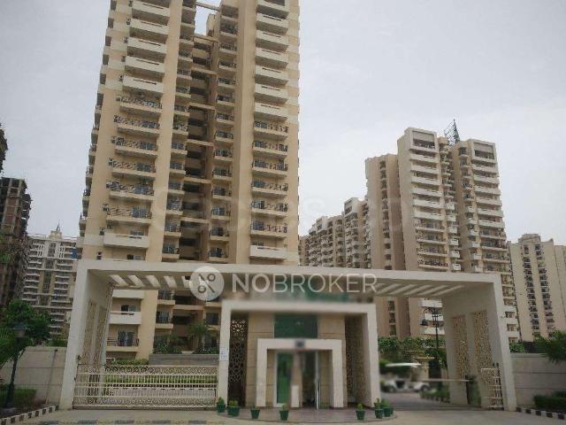 3 BHK Flat In Exotica Fresco for Rent In Sector 137