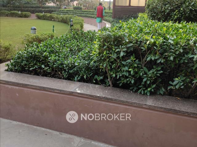 3 BHK Flat In Exotica Fresco, Sector 137 for Rent In Sector 137