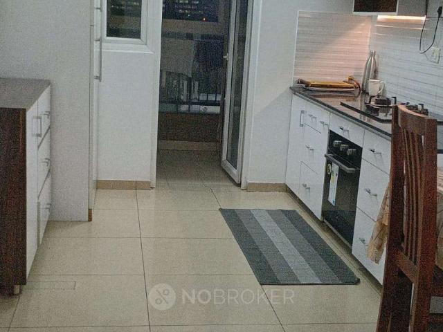 3 BHK Flat In Gulshan Ikebana for Rent In Sector 143