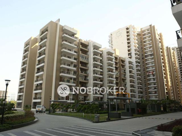 3 BHK Flat In Gulshan Ikebana, Sector 143 for Rent In Sector 143