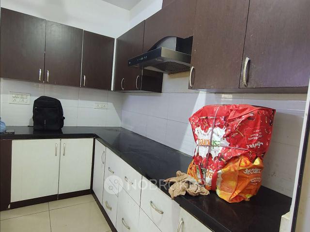 3 BHK Flat In Gulshan Vivante For Sale In Sector 137