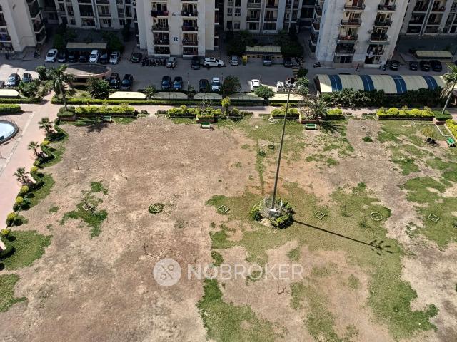 3 BHK Flat In Galaxy North Avenue Ll for Rent In Sector 16c