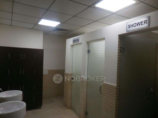 3 BHK Flat In Gaur Cascades for Rent In Raj Nagar Extension