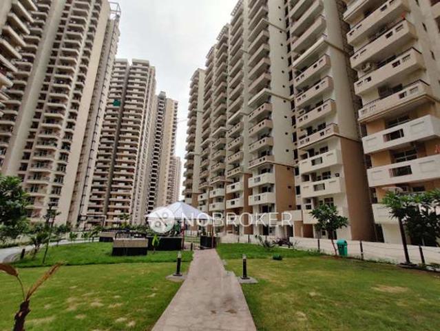 3 BHK Flat In Gaur City 2 for Rent In Sector 16c