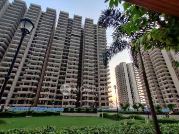3 BHK Flat In Gaur Yamuna City for Rent In Greater Noida