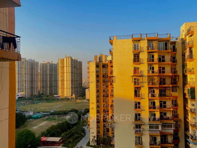 3 BHK Flat In Golf City for Rent In Sector 75