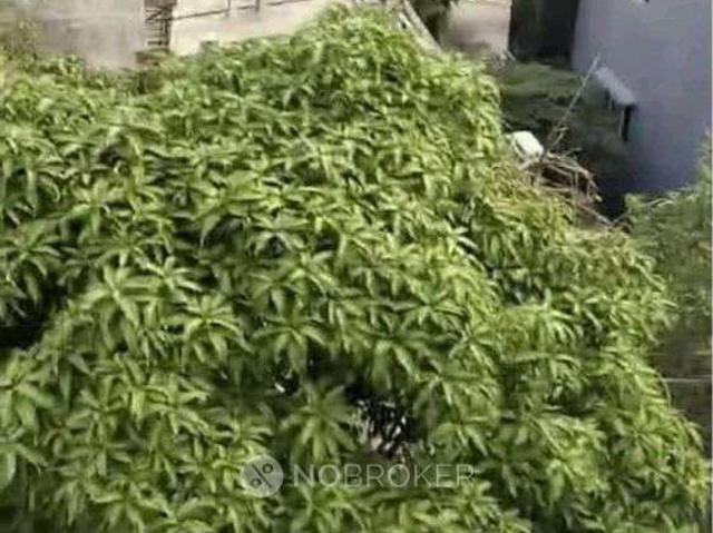 3 BHK Flat In Jaweed Residency, Banjarahills for Rent In B