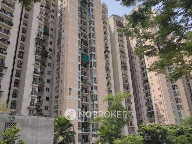 3 BHK Flat In Jaypee Aman for Rent In Sector 151