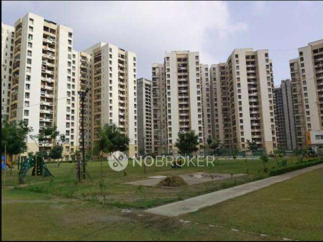 3 BHK Flat In Jaypee Green Kosmos for Rent In Sector 134