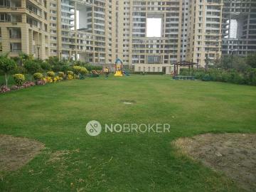 3 BHK Flat In Jaypee Kalypso Court for Rent In Sector 128