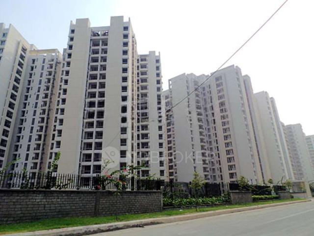 3 BHK Flat In Jaypee Klasic for Rent In Noida Business Par