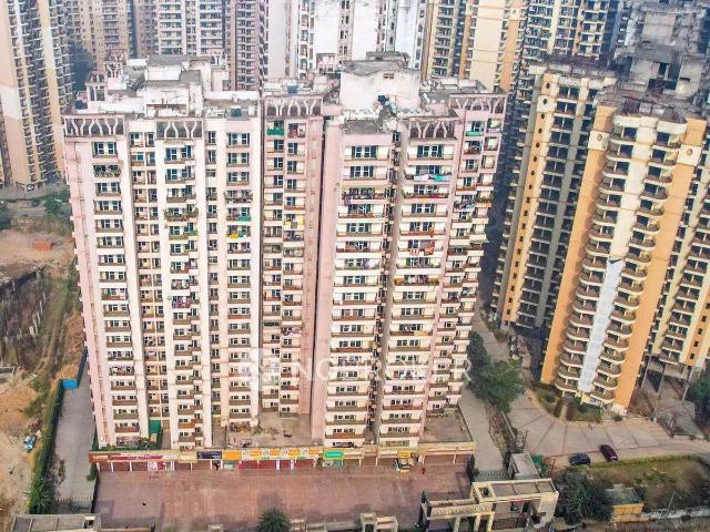 3 BHK Flat In Jkg Palmcourt for Rent In Panchsheel Greens 2