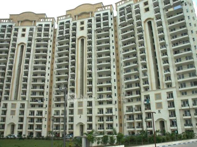 3 BHK Flat In Jmd Gardens for Rent In Sector 33