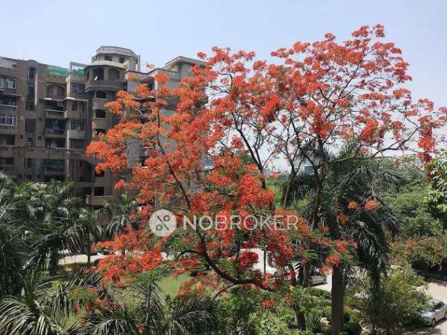 3 BHK Flat In Kailash Dham Society for Rent In Sector 50