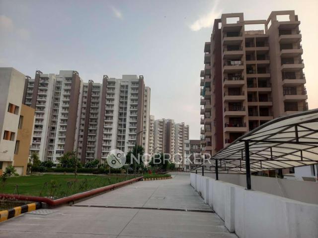 3 BHK Flat In Komman People Welfare Society for Rent In Sector 49