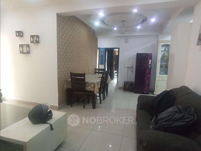 3 BHK Flat In Panchsheel Greens for Rent In Sector 16 B