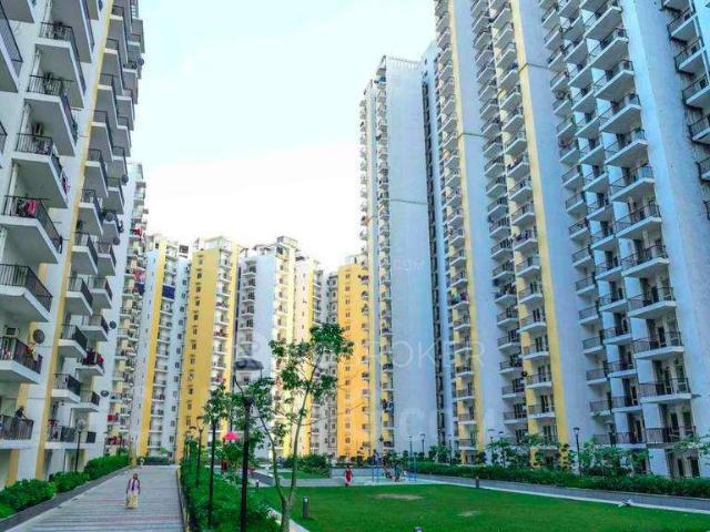 3 BHK Flat In Panchsheel Hynish for Rent In Sector 1