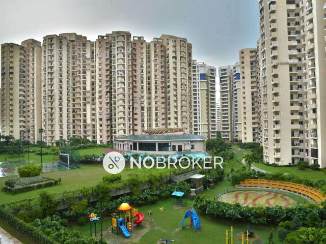 3 BHK Flat In Paramount Floraville for Rent In Sector 137