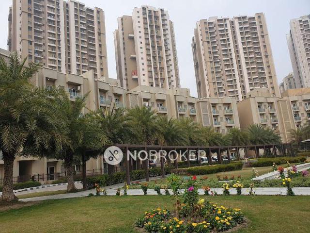 3 BHK Flat In Paras Tierea for Rent In Sector 137