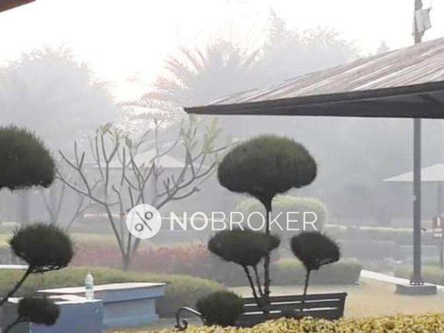 3 BHK Flat In Paras Tierea for Rent In Sector 137