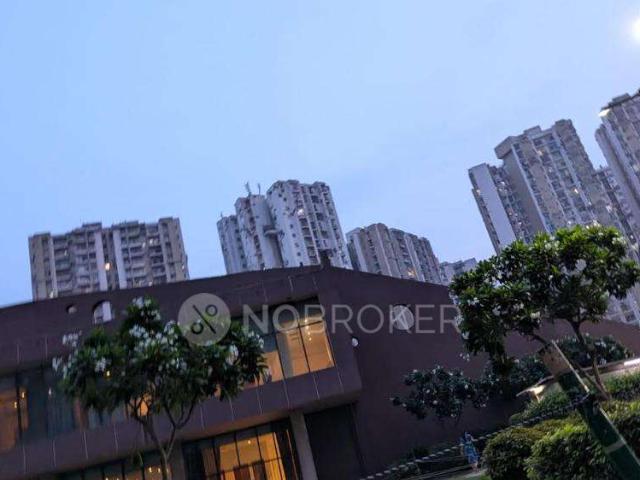 3 BHK Flat In Paras Tierea for Rent In Sector 137