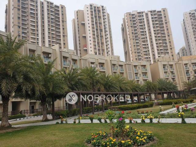 3 BHK Flat In Paras Tierea, Sector 137 for Rent In Sector 137