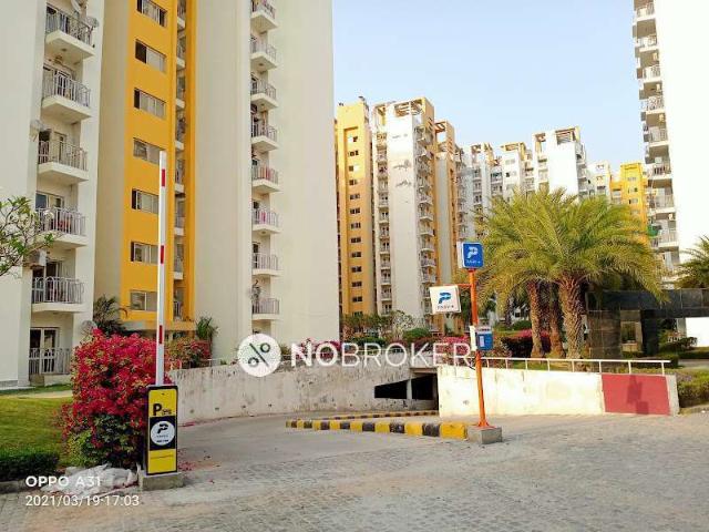 3 BHK Flat In Park Granduera for Rent In Sector 82