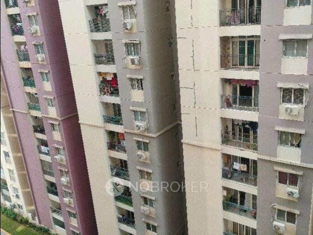 3 BHK Flat In Prajay Megapolis for Rent In Kukatpally