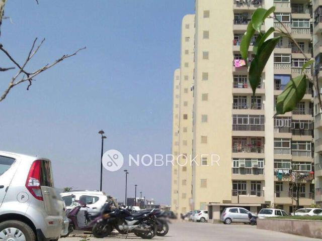 3 BHK Flat In Prateek Laurel for Rent In Sector 120