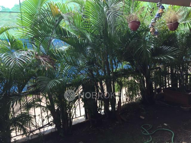 3 BHK Flat In Pride Platinum for Rent In Baner