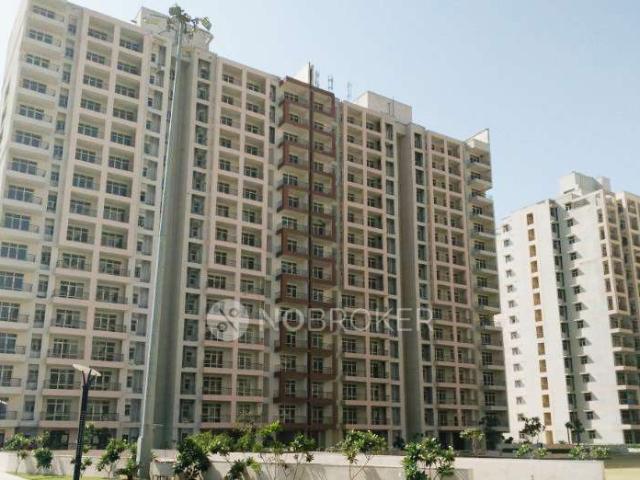 3 BHK Flat In Raheja Sampada. For Rent In Sector 94