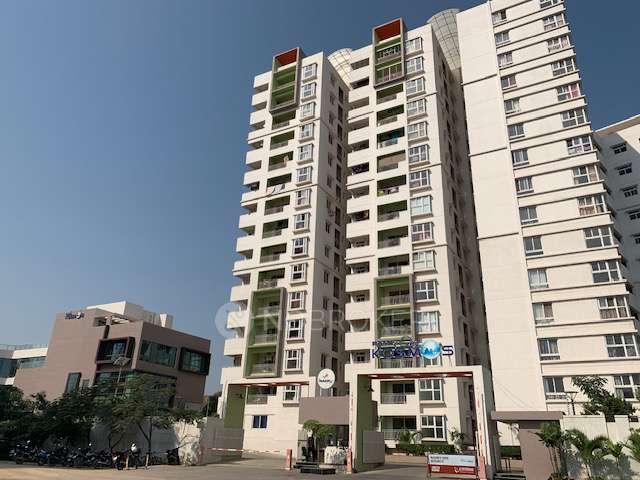 3 BHK Flat In Ramky One Kosmos for Rent In Nallagandla