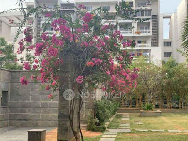 3 BHK Flat In Rohan Jharoka 2 for Rent In Bellandur