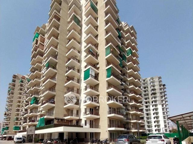 3 BHK Flat In Rps Auria for Rent In Sector 88