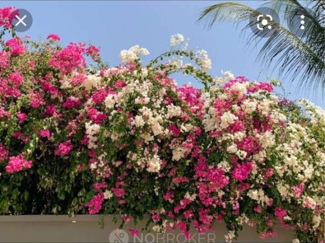 3 BHK Flat In Standalone Buildig For Sale In Sector 4