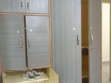 3 BHK Flat In Svj Palm Grove for Rent In Whitefield
